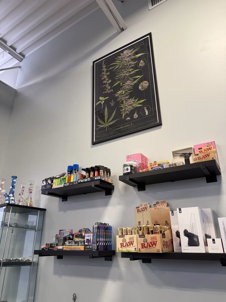 Dream Daze Dispensary interior